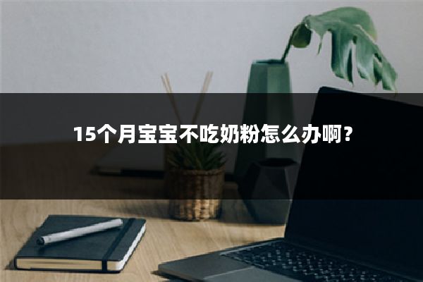 15个月宝宝不吃奶粉怎么办啊？