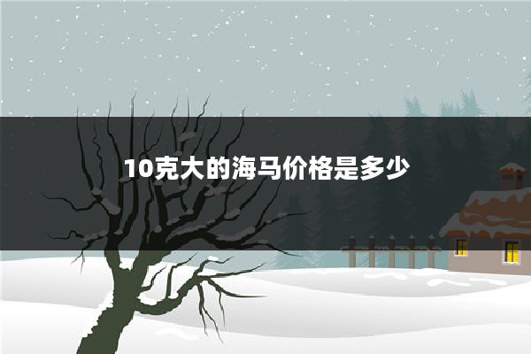10克大的海马价格是多少