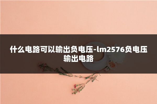 什么电路可以输出负电压-lm2576负电压输出电路