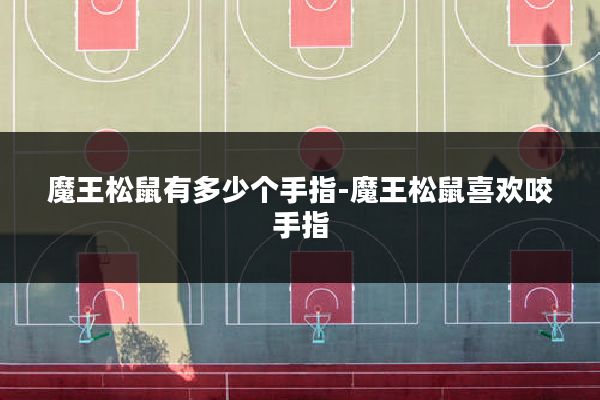 魔王松鼠有多少个手指-魔王松鼠喜欢咬手指