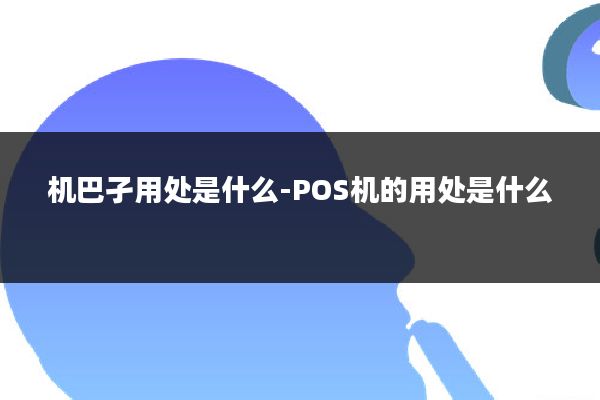 机巴孑用处是什么-POS机的用处是什么