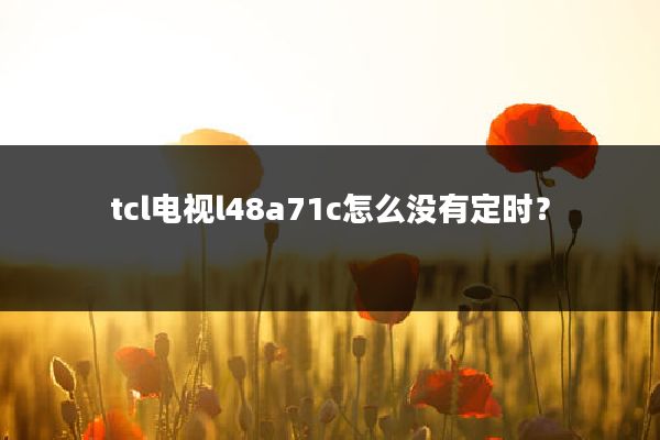 tcl电视l48a71c怎么没有定时?