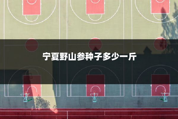 宁夏野山参种子多少一斤