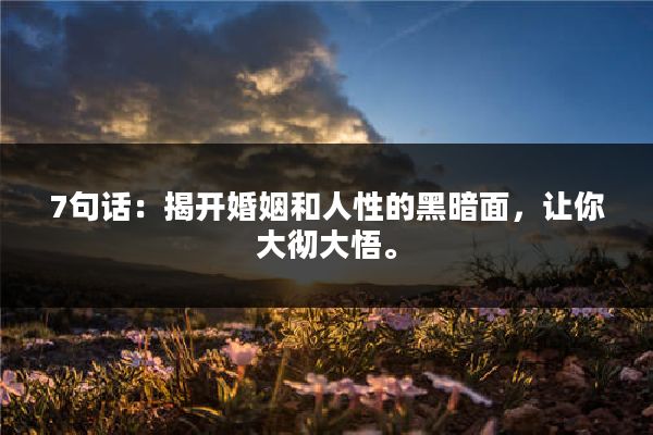 7句话：揭开婚姻和人性的黑暗面，让你大彻大悟。