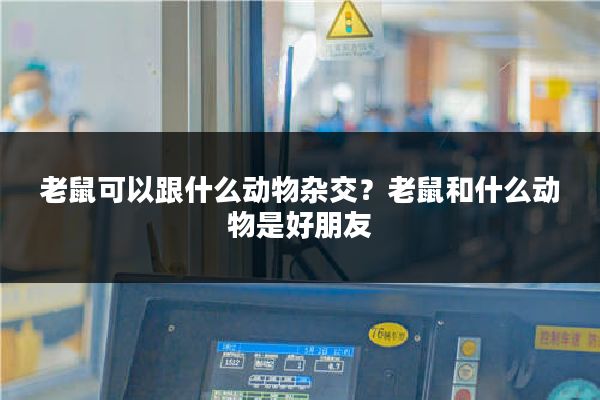 老鼠可以跟什么动物杂交？老鼠和什么动物是好朋友