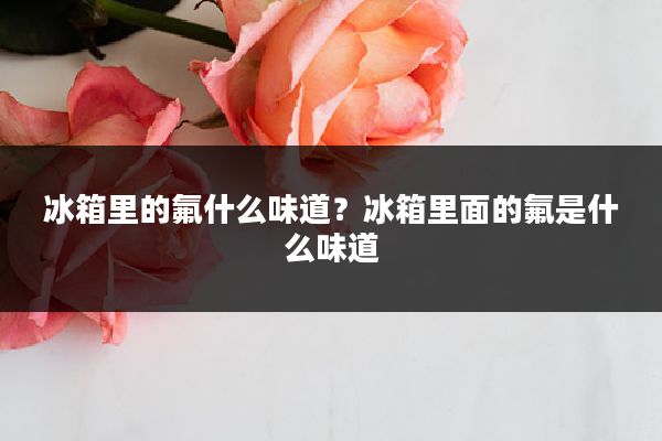 冰箱里的氟什么味道?冰箱里面的氟是什么味道