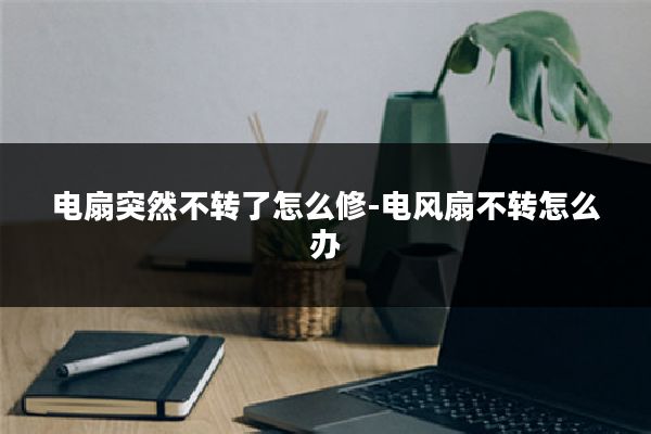 电扇突然不转了怎么修-电风扇不转怎么办