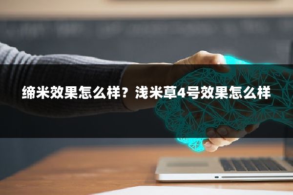 缔米效果怎么样？浅米草4号效果怎么样