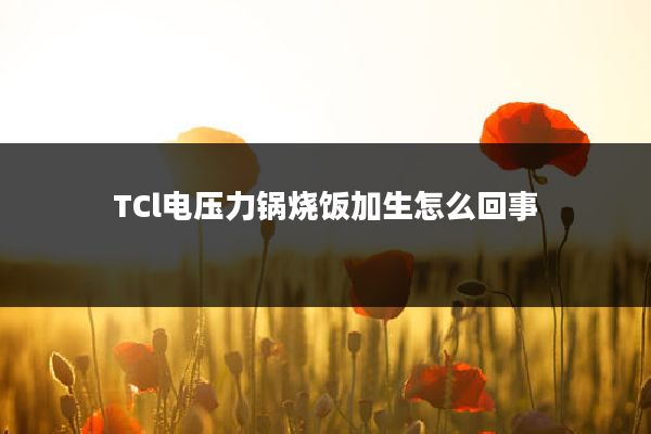 TCl电压力锅烧饭加生怎么回事