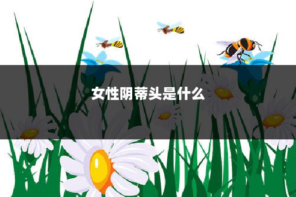 女性阴蒂头是什么