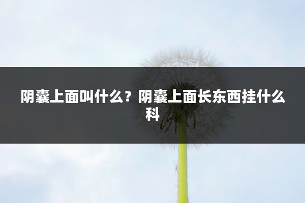阴囊上面叫什么?阴囊上面长东西挂什么科