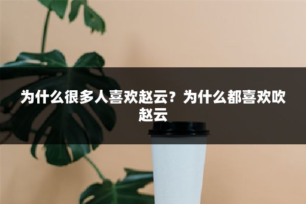 为什么很多人喜欢赵云？为什么都喜欢吹赵云