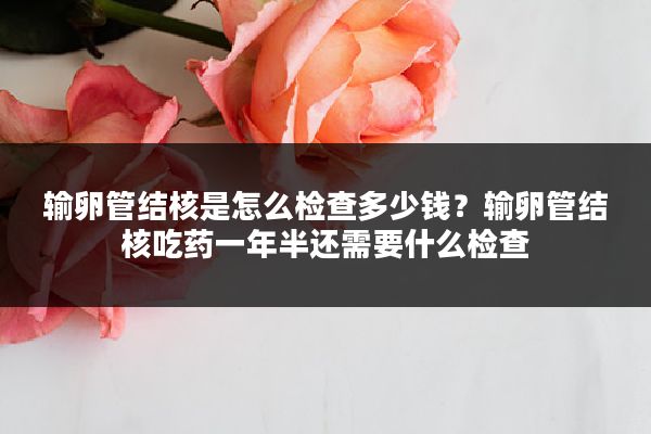 输卵管结核是怎么检查多少钱?输卵管结核吃药一年半还需要什么检查