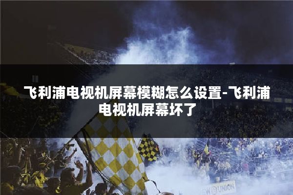 飞利浦电视机屏幕模糊怎么设置-飞利浦电视机屏幕坏了