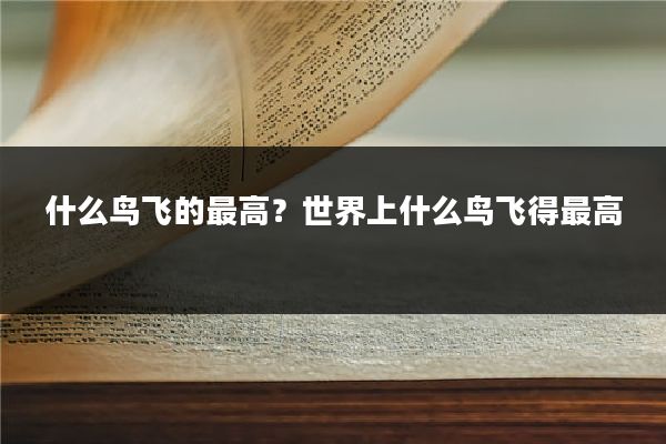 什么鸟飞的最高?世界上什么鸟飞得最高