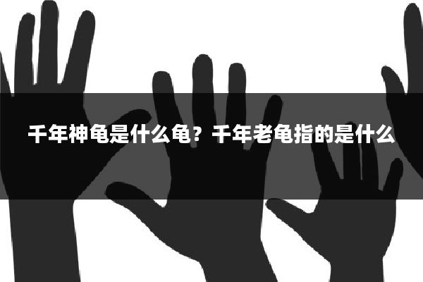 千年神龟是什么龟?千年老龟指的是什么