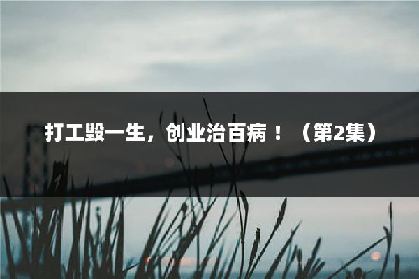 打工毁一生,创业治百病 !(第2集)