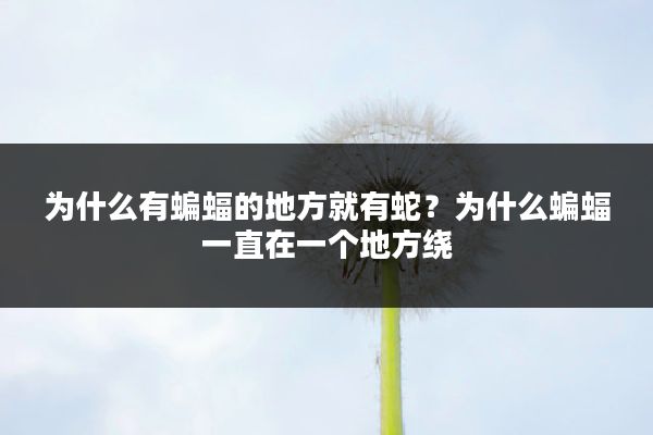 为什么有蝙蝠的地方就有蛇?为什么蝙蝠一直在一个地方绕