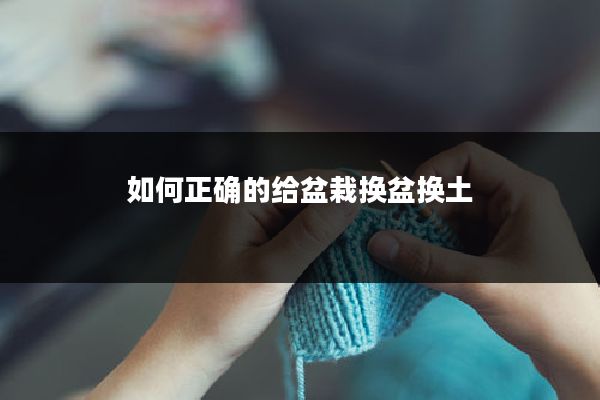 如何正确的给盆栽换盆换土