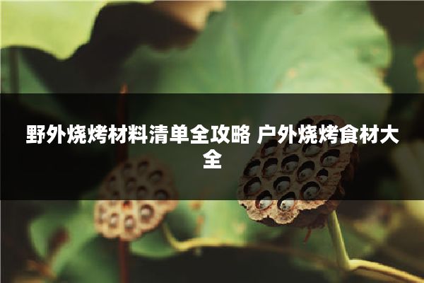 野外烧烤材料清单全攻略 户外烧烤食材大全