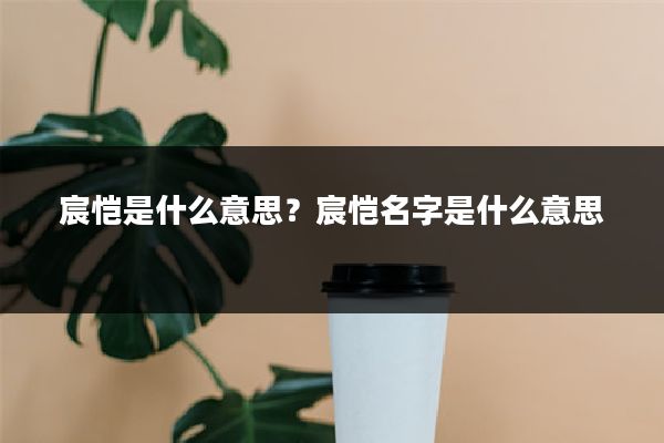 宸恺是什么意思?宸恺名字是什么意思