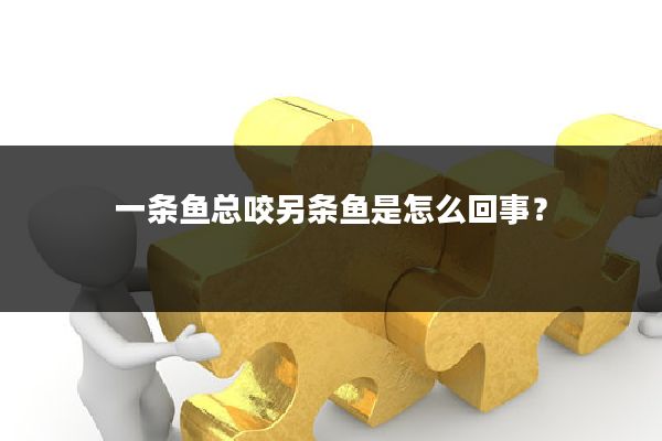 一条鱼总咬另条鱼是怎么回事？
