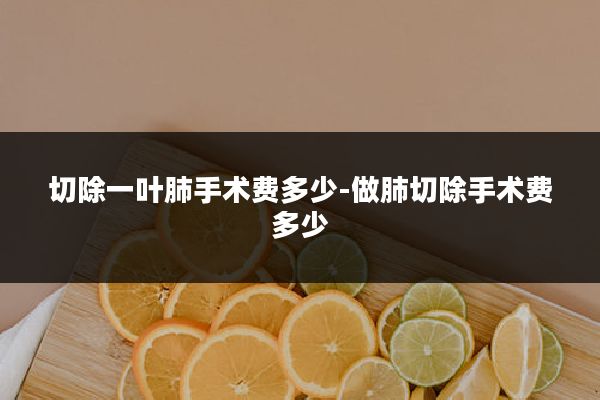 切除一叶肺手术费多少-做肺切除手术费多少