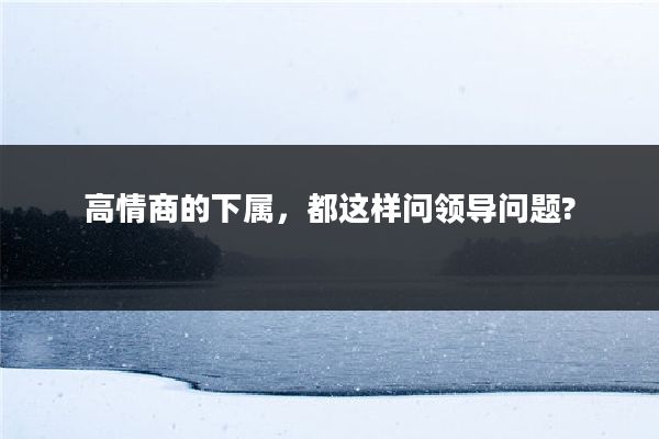 高情商的下属，都这样问领导问题?