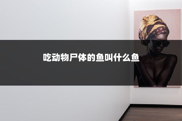 吃动物尸体的鱼叫什么鱼