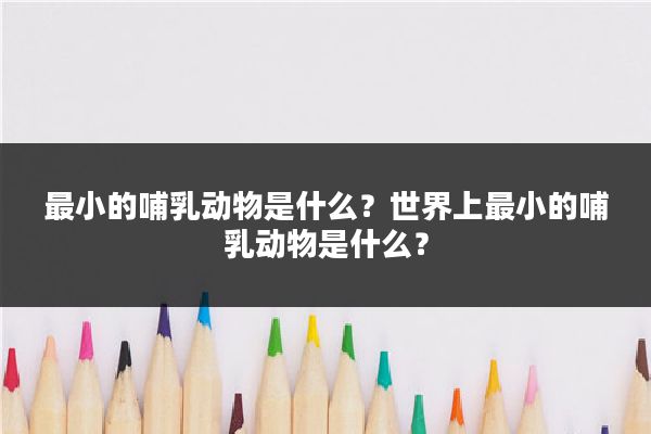 最小的哺乳动物是什么?世界上最小的哺乳动物是什么?