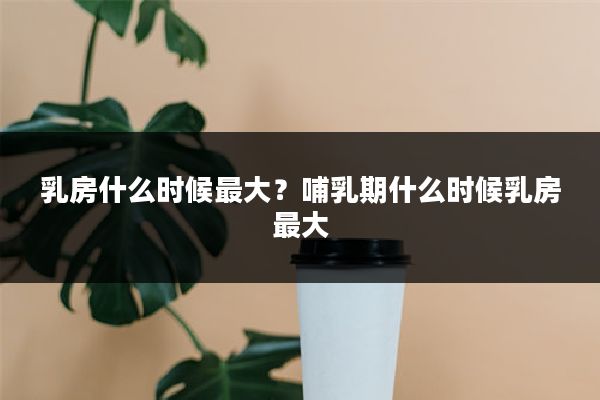 乳房什么时候最大?哺乳期什么时候乳房最大