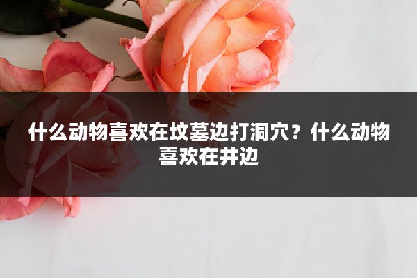 什么动物喜欢在坟墓边打洞穴?什么动物喜欢在井边