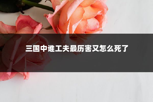 三国中谁工夫最历害又怎么死了