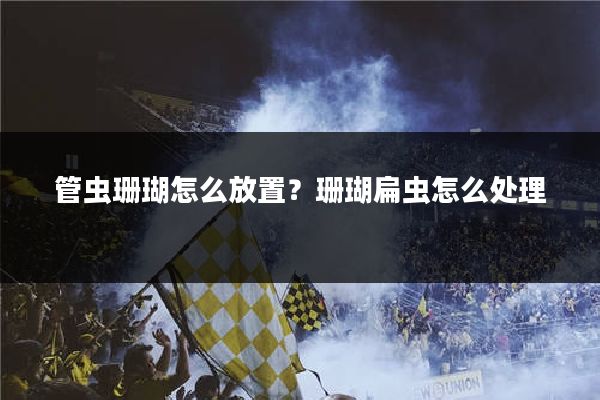 管虫珊瑚怎么放置？珊瑚扁虫怎么处理
