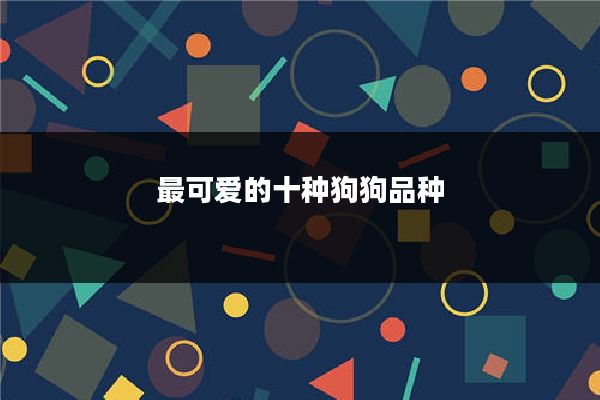 最可爱的十种狗狗品种