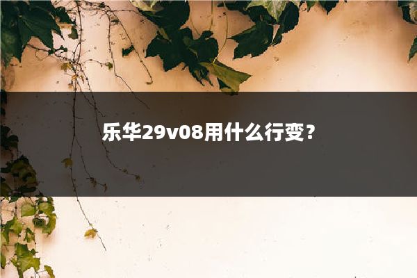 乐华29v08用什么行变?