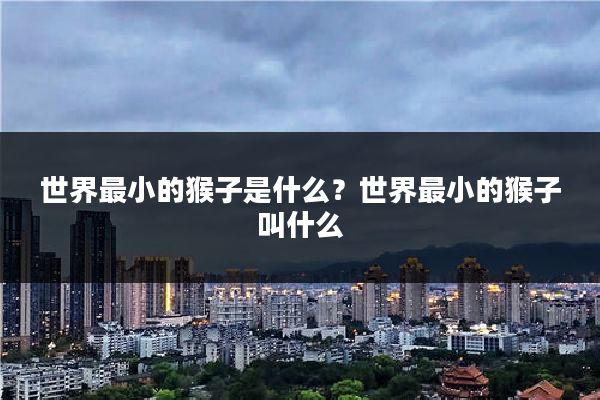 世界最小的猴子是什么？世界最小的猴子叫什么