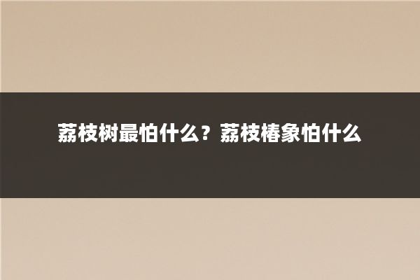 荔枝树最怕什么？荔枝椿象怕什么