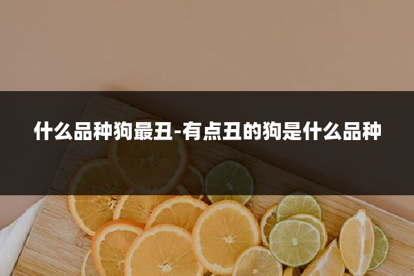 什么品种狗最丑-有点丑的狗是什么品种