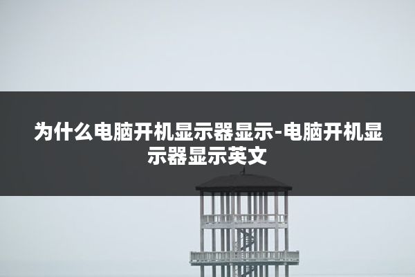 为什么电脑开机显示器显示-电脑开机显示器显示英文