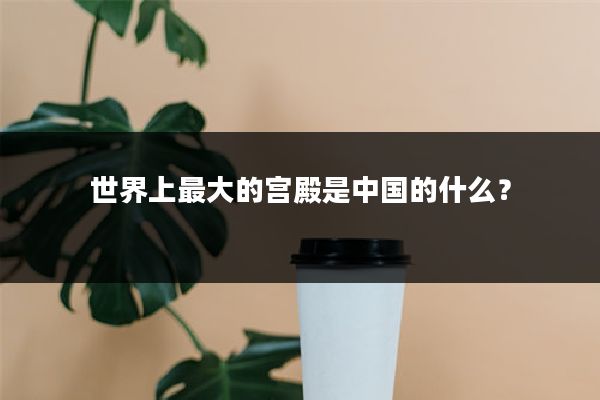 世界上最大的宫殿是中国的什么？