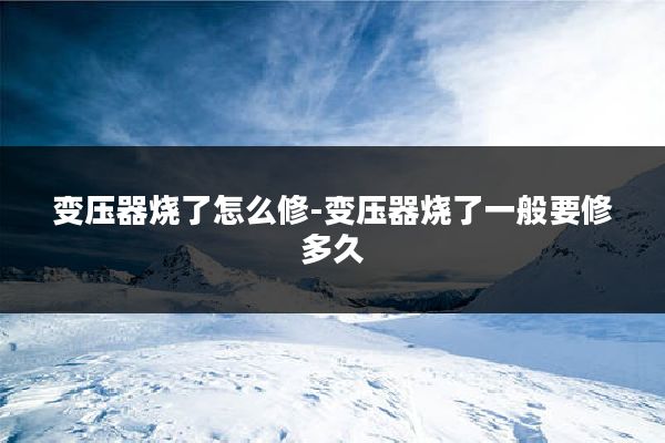 变压器烧了怎么修-变压器烧了一般要修多久