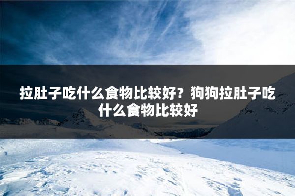 拉肚子吃什么食物比较好？狗狗拉肚子吃什么食物比较好