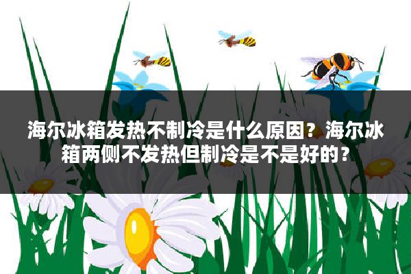 海尔冰箱发热不制冷是什么原因?海尔冰箱两侧不发热但制冷是不是好的?