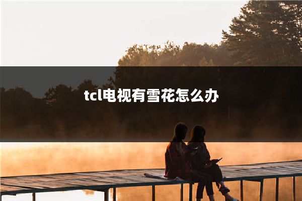 tcl电视有雪花怎么办