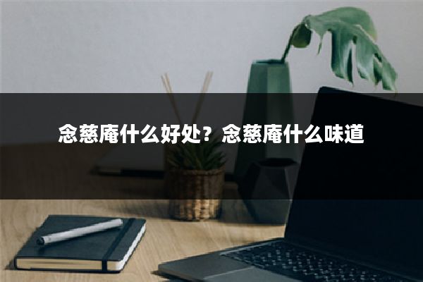 念慈庵什么好处?念慈庵什么味道