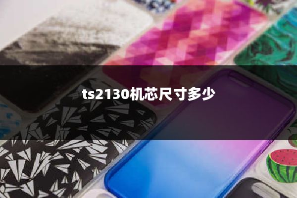 ts2130机芯尺寸多少