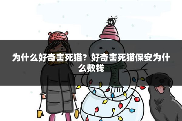 为什么好奇害死猫?好奇害死猫保安为什么数钱