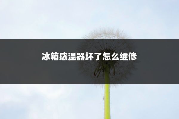 冰箱感温器坏了怎么维修