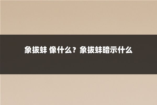 象拔蚌 像什么?象拔蚌暗示什么
